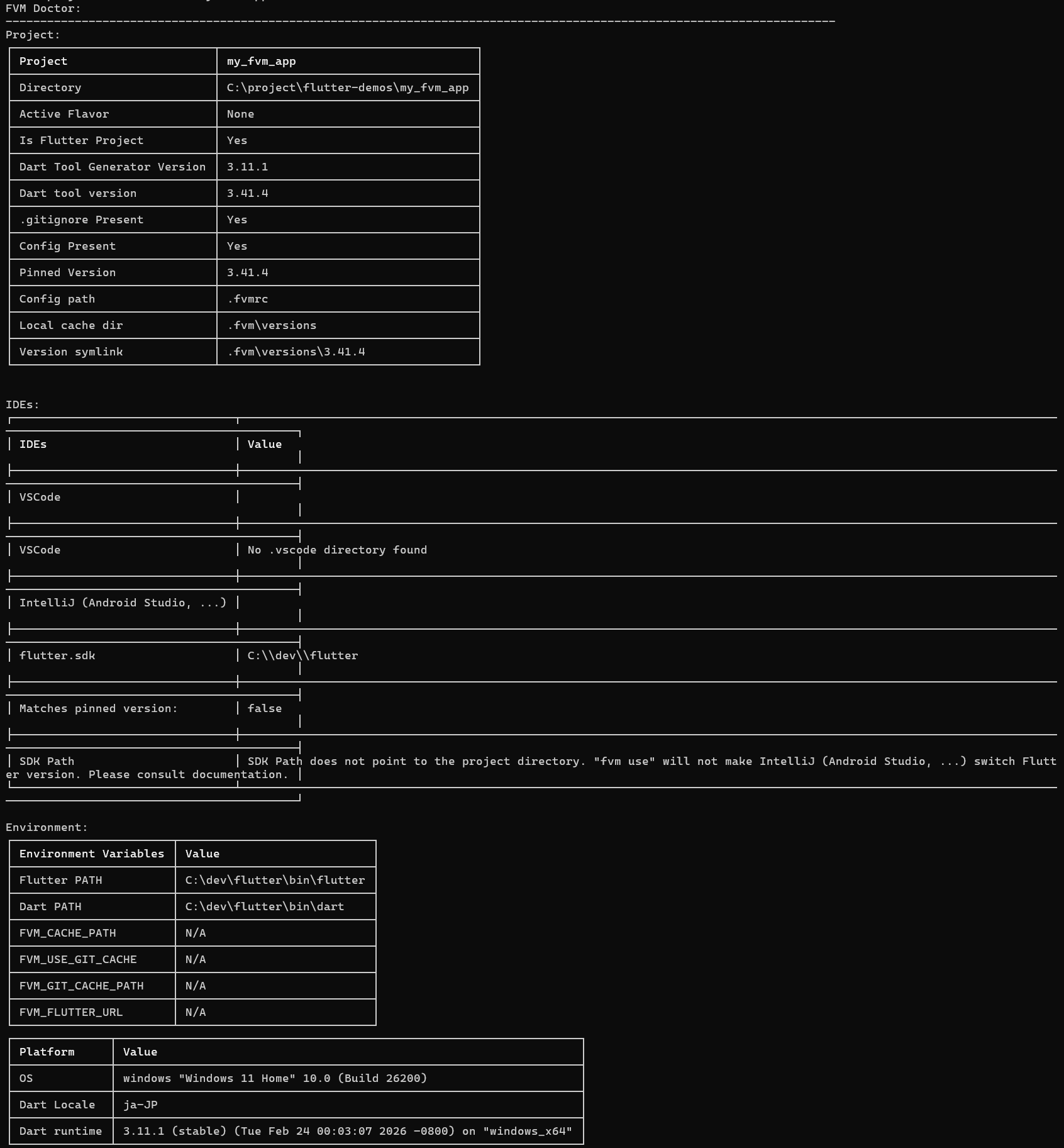 fvm doctor の出力（プロジェクト情報・固定バージョンの確認）