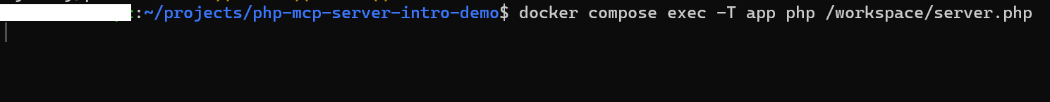 STDIO server を単体起動した待受状態