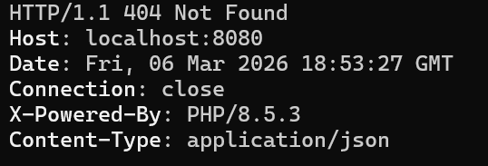 存在しないパスで 404 Not Found の JSON が返っている画面